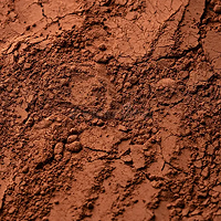 Organic Cocoa Powder