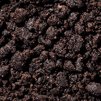 Gluten-Free Chocolate Cookie